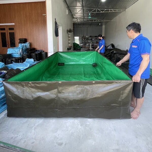 Bể bạt nuôi cá trê