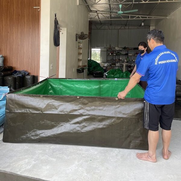 Bể bạt nuôi ốc bươu đen